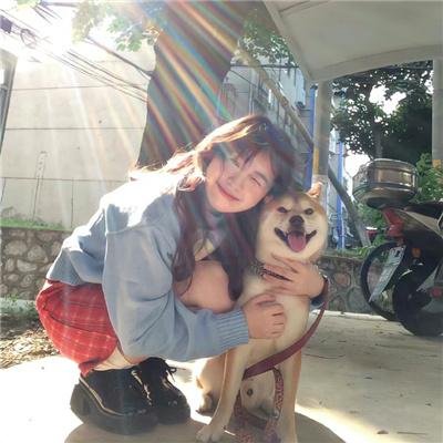 狂犬末日